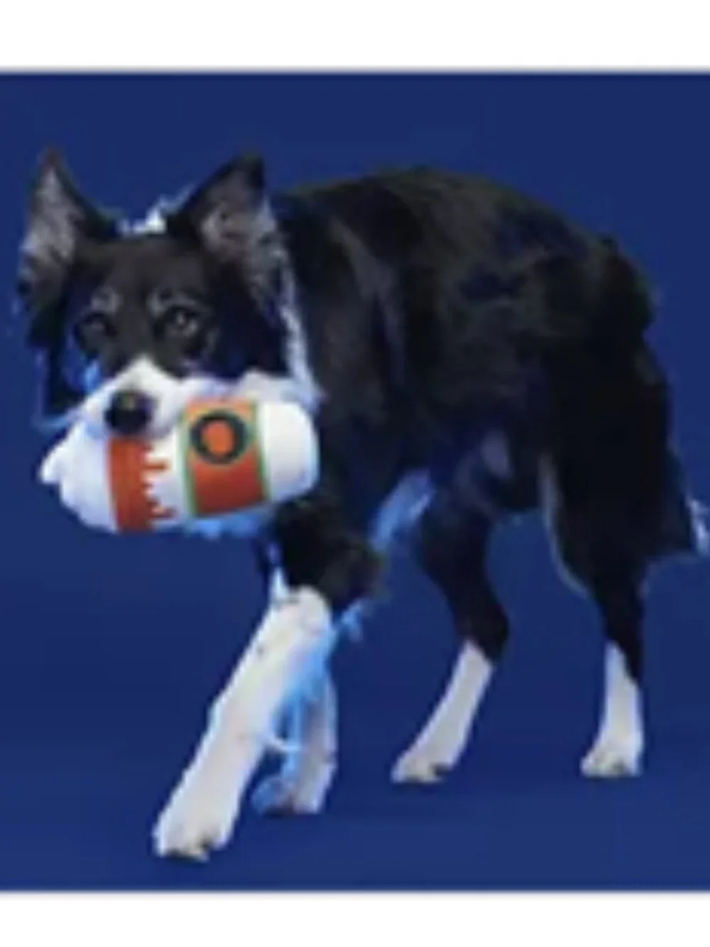 BARK's Whipped Pupkin Latte Plush Pet Toy